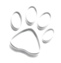 ビスココビスコ