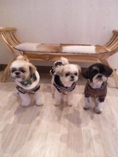 しーばぁちゃん