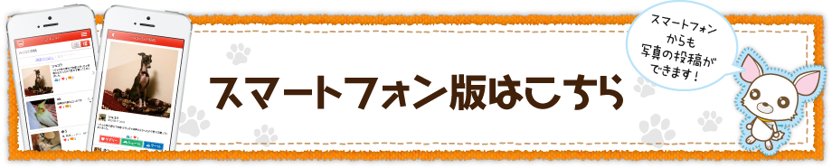 スマートフォフォン版はこちら