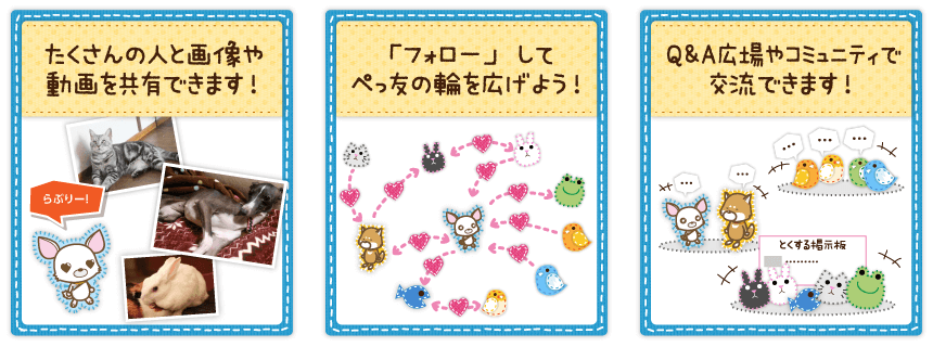 たくさんの人と画像や動画を共有できます！「フォロー」してぺと友の輪を広げよう！Q&A広場やコミュニティで交流できます！