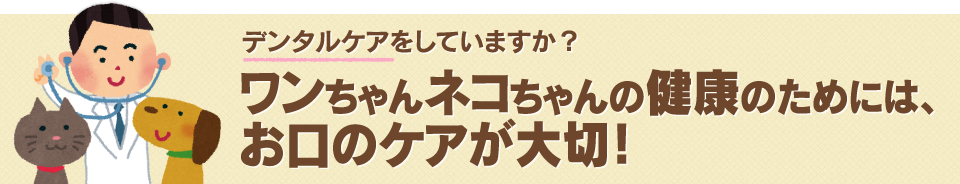 デンタルケアをしていますか？ワンちゃんネコちゃんの健康のためには、お口のケアが大切！