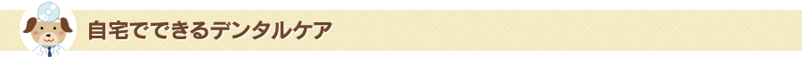 自宅でできるデンタルケア