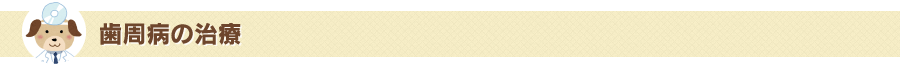 歯周病の治療