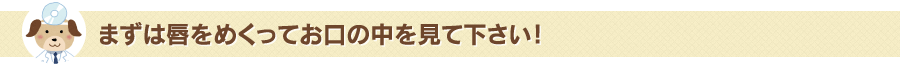 まずは唇をめくってお口の中を見て下さい！