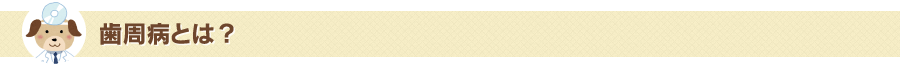 歯周病とは？
