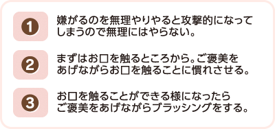 (1)嫌がるのを無理やりやると攻撃的になってしまうので無理にはやらない。 (2)まずはお口を触るところから。ご褒美をあげながらお口を触ることに慣れさせる。 (3)お口を触ることができる様になったらご褒美をあげながらブラッシングをする。