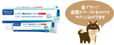 歯ブラシに歯磨きペーストを付けてやさしくみがきます