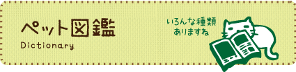 ペット図鑑　- Animal diseases -