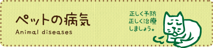 ペットの病気　- Dictionsry -