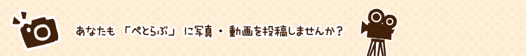あなたも「ぺとらぶ」に写真・動画を掲載しませんか？