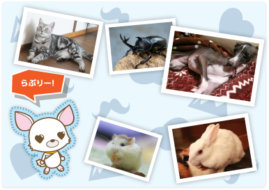 みんなの投稿にコメントや評価を付けよう！